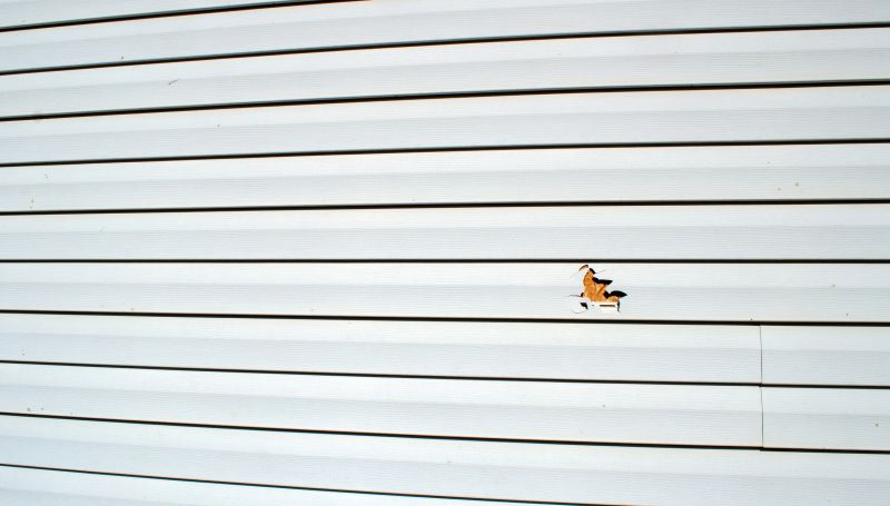 Summer Siding Repairs